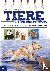 Tiere malen und zeichnen - ...