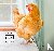 Nest - Rescued Chickens at ...