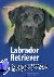 Labrador Retriever - Der Ap...