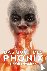 Das Buch des Phönix