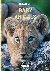 Poliza, Michael - Baby Animals