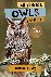 All Things Owls For Kids - ...