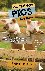 All Things Pigs For Kids - ...
