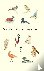 Nicolien Mizee's Vogelboek