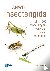 Bellmann, Heiko - ANWB Insectengids - Ruim 1500 afbeeldingen, vaak ook larven en poppen