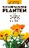 Geneeskrachtige planten - 9...