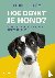 Hoe denkt je hond? - Nieuwe...