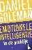 Emotionele intelligentie in...