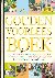 Het Gouden voorleesboek