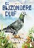 De bijzondere duif