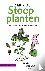 Hortus Botanicus Leiden, Werkgroep Stadsplanten Breda - Zakgids Stoepplanten - 104 stoepplanten herkennen, determinatiesleutel en soortbeschrijvingen