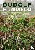 Oudolf Hummelo