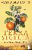 Terra di Sicilia - De terug...