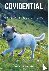 Covidential - Virusgekte in...