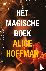 Het magische boek