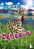 Duling, Kaitlyn - Zebra's