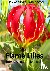 Flame Lilies - from Devente...