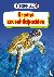 Groene zeeschildpadden