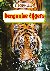 Bengaalse tijgers