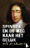 Spinoza en de weg naar het ...