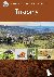 Crossbill Guide Tuscany - I...