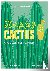 Happy cactus - cactussen en...