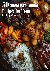 Johnson, Kelly - 50 Sheet Pan Dinner Recipes for Home