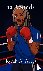 12 Rounds - The Journey of ...