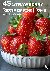 45 Strawberry Recipes for Home
