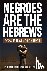 NEGROES ARE THE HEBREWS - F...
